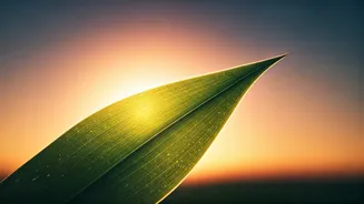 Unlock Your Day: 5 Powerful 5 AM Affirmations for Inner Peace and Confidence