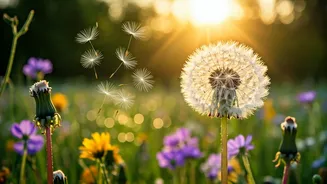 Unlocking Your Spring Vitality: A Guide to Boosting Energy Levels