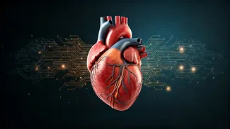 Credit Health Is The New Financial Fitness