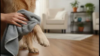 Monsoon Dog Care Works Best With Routine, Not Last-Minute Panic