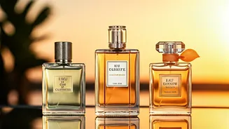 Summer Scents Unveiled: EDT vs. EDP vs. EDC for Optimal Warm Weather Fragrance
