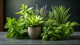 8 Natural Plant Guardians: Banish Lizards from Your Indian Home