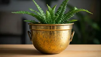 Why Pinterest Is Obsessed With Upcycled Brass Living Room Planters