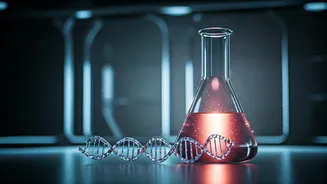 Related Stories banner