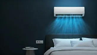 Bengaluru Heatwave Sparks Debate: Woman's Hotel AC Solution Goes Viral