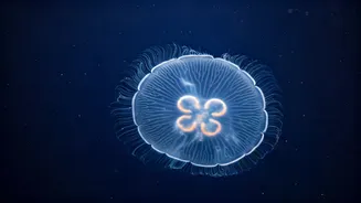 Life Without a Beat: 7 Astonishing Animals Thriving Without Hearts!