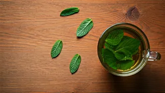 Beat Headaches Naturally: 5 Refreshing Ways with Mint Leaves