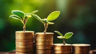 The New UPI Economics: Revenue, Investment And Digital Payment Growth