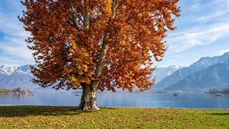 Autumn Trips Work Best When Travellers Match Dates To Local Foliage Windows, With Weather Still Varying Widely By Region