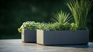 Small Gardens Need Raised Pots And Dry Feet