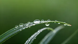 Easy Daily Skincare Habits For Humid Weather