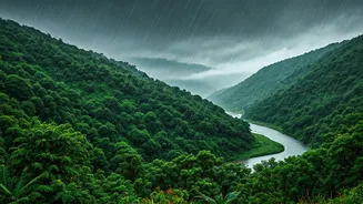 Monsoon Travel Trends: Inside India's Most Atmospheric Getaways