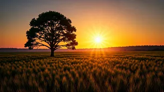 Countdown To June 21 Summer Solstice Longest Day Magic
