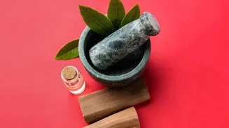 Kerala Seasonal Ayurvedic Treatments Offer Millennial Professional Ideal Escape From Office Exhaustion