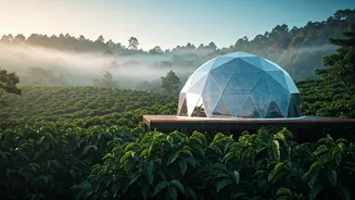 Book Chikmagalur Geodesic Domes For Breathtaking Misty Spice Orchard Views