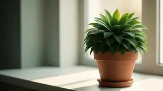 Green Living Starts With One Plant