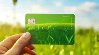 How to choose the right credit card