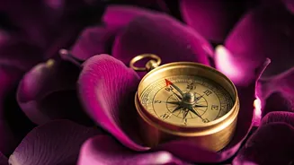 Daily Love Forecast: October 24th, 2025