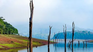 Water-Saving Guide For Indian Households Facing Lower Reservoir Levels
