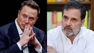 Elon Musk, IMF And The Economy Row: BJP Vs Rahul Gandhi Explained