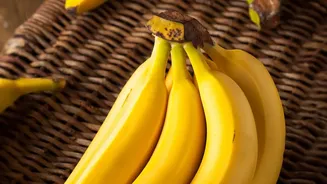 Ethylene Makes Bananas Softer, Sweeter and More Aromatic
