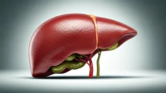 Healthy Habits: A Nutritionist's Guide to Organ Wellness