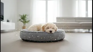 How To Safeguard Compact Flat Pets From Seasonal Parasites Using Vet Approved Methods