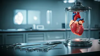 Upholding Integrity: Our Commitment