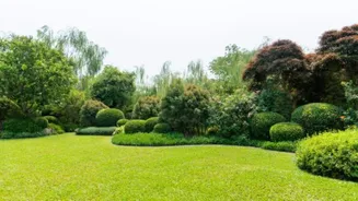 Related Stories banner