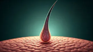 Decoding DHT Hair Loss: Your Guide to Understanding and Identifying It