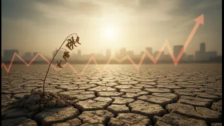 Rain Deficits Can Hit Food Prices And Young India’s Monthly Budgets