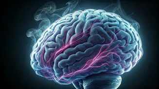 Internalized Stress: An Unseen Culprit Behind Cognitive Decline in Older Adults