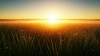 Embrace the Dawn: 5 AM Affirmations for a Fresh Start and Peaceful Day