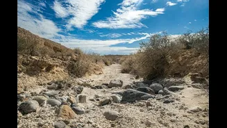 Global Water Bankruptcy: UNU-INWEH Warns of Severe Freshwater Depletion