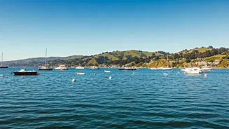 Sausalito: California's Hidden Gem with Italian Riviera Charm Near San Francisco