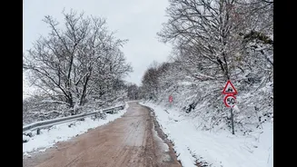 Understanding Weather Trends and Their Impact on Travel Planning