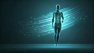 Beyond the Biceps: Unmasking Hidden Health Issues in Fit Individuals