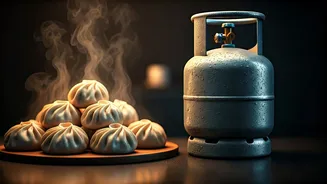 LPG Cylinder for 50 Momos: West Bengal Eatery's Viral Barter Offer