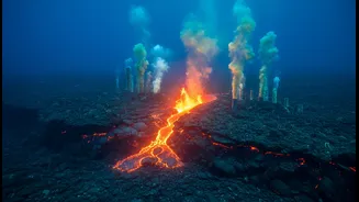Beyond a textbook animation, Indian Ocean Seafloor Spreading highlights how researchers understand crust formation at mid-ocean ridges