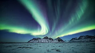Aurora Adventures: Your Guide to Catching the Northern Lights!