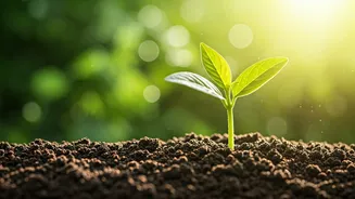 Better Habits, Better Planet