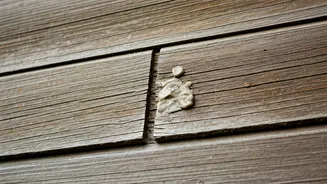 Small Home Fixes That Beat Monsoon Damage
