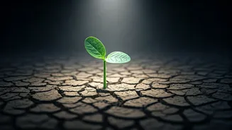 From Overwhelmed to Outstanding: Boosting Student Success Through Mental Wellness