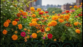 Butterflies Can Make Balcony Gardening Feel Magical