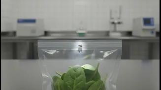 FSSAI's New Lens On Packaging Targets A Small But Preventable Risk