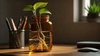 Upgrade Office Desk Setups Rooting Money Plants Amber Jars