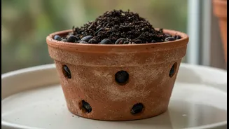 Monsoon Gardening Starts With Pot Drainage First