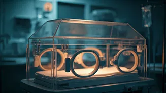 India's Fight Against Preterm Birth: Causes, Cutting-Edge Treatments, and Rising Survival Rates