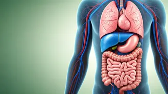 30 Days of Coconut Water: Unveiling the Subtle Shifts in Your Body