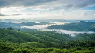How Shillong Workations Provide Peaceful Rainy Season Backgrounds For Remote Work